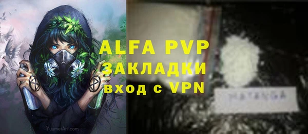 спиды Лагань