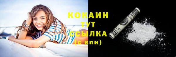 мдпв Кулебаки
