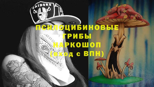 мдпв Кулебаки
