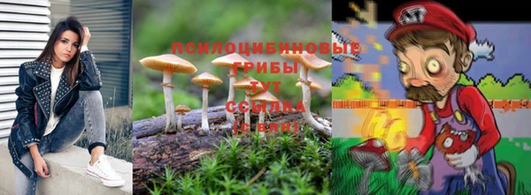 мдпв Кулебаки