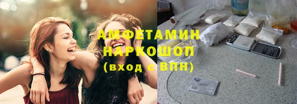 мдпв Новозыбков