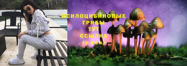Альфа ПВП Лабытнанги