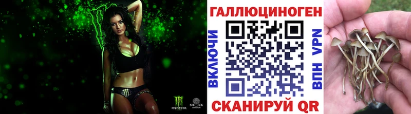 Галлюциногенные грибы прущие грибы  Мурино 