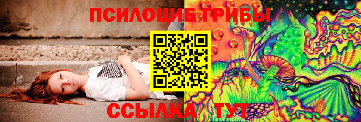 Галлюциногенные грибы мицелий Мурино