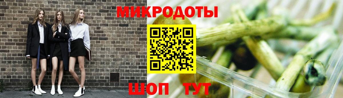 Псилоцибиновые грибы Psilocybe  Вход с VPN  Мурино 